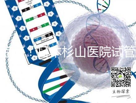 驚訝！日本杉山醫院試管嬰兒成功率和泰國持平