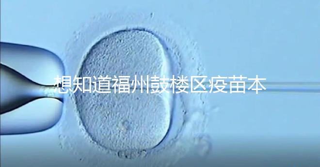 想知道福州鼓樓區(qū)疫苗本丟失怎么辦看這，到哪里補(bǔ)辦要弄清