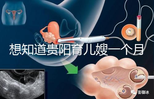想知道貴陽育兒嫂一個(gè)月戳多少錢，云巖2萬夠不夠