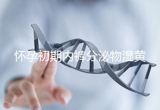 懷孕初期內褲分泌物濕黃是男孩！5大原因為你揭開背后真相