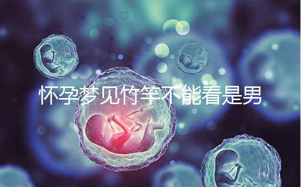 懷孕夢見竹竿不能看是男孩or女孩，解讀胎夢預兆別太主觀