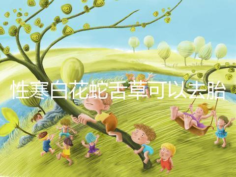 性寒白花蛇舌草可以去胎毒別亂吃！小心流產找上門