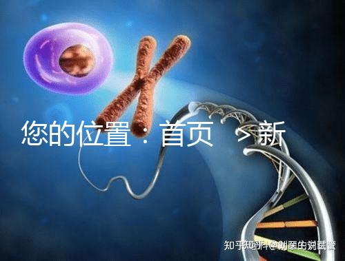 您的位置:首頁 >新聞中心>醫(yī)院動態(tài)