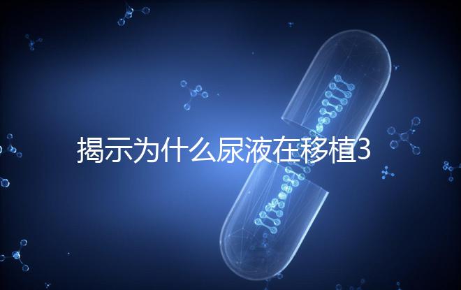 揭示為什么尿液在移植30天后需要稀釋才能測量，正常情況下不一目了然
