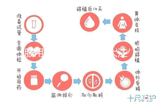 服用林卡爾須知：6大注意事項(xiàng)預(yù)先了解