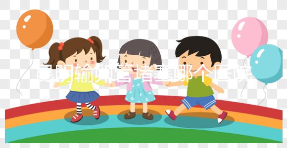 昆明輸卵管堵塞哪個(gè)醫(yī)院做的好些