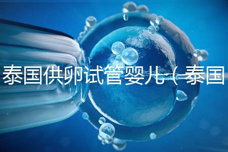 泰國(guó)供卵試管嬰兒(泰國(guó)供卵試管嬰兒合法嗎)