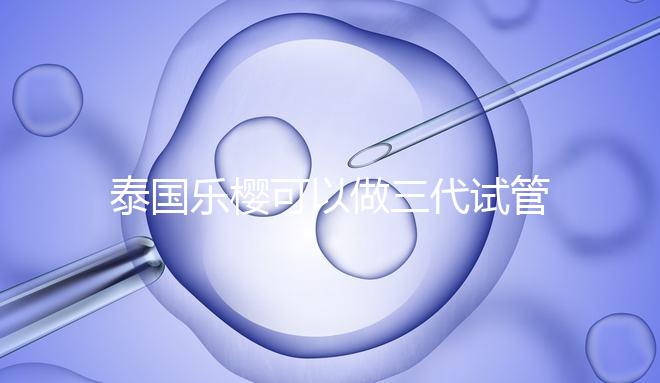 泰國樂櫻可以做三代試管嬰兒嗎？能否胚胎轉(zhuǎn)運(yùn)