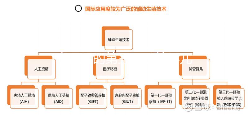 泰國好的第三代試管嬰兒醫院排名前十名：正規醫院名單！