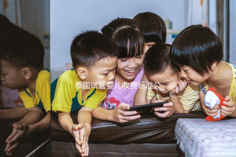 泰國試管嬰兒收費標準公布，藥品費用占大多數