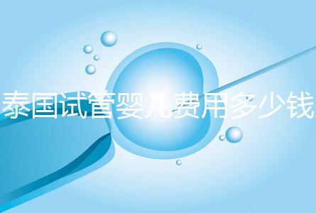 泰國試管嬰兒費用多少錢（泰國試管嬰兒費用多少錢呢）