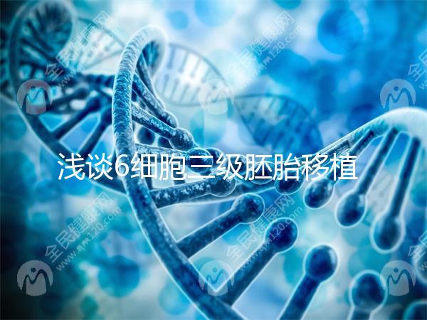 淺談6細胞三級胚胎移植成功率高低，是養還是移看完便知