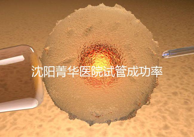 沈陽菁華醫(yī)院試管成功率高嗎？教你4招提升胚胎著床機會