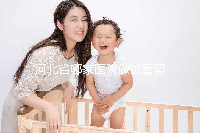 河北省哪家醫院做試管嬰兒好？這5家醫院成功上榜！