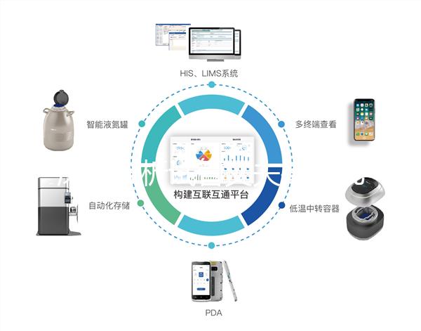 深入分析試管丈夫排精幾天后取卵正常，找到正確的時間更容易懷孕