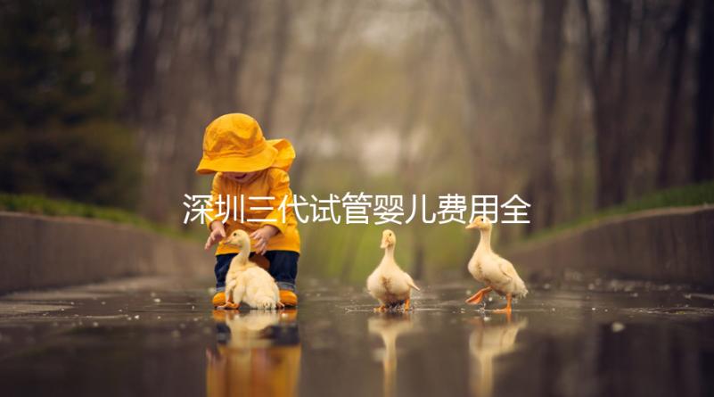 深圳三代試管嬰兒費用全揭秘，助你輕松掌握預算！