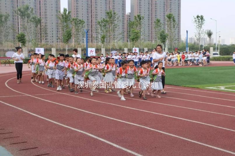 深圳泰國試管嬰兒（深圳泰國試管嬰兒技術）