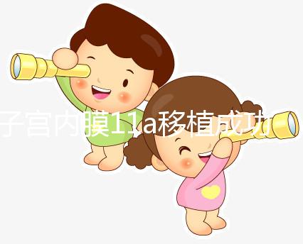 子宮內(nèi)膜11a移植成功率解析，好不好、適不適合著床看這