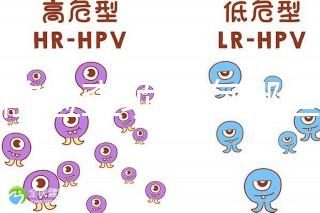 孕前檢查項目有哪些？