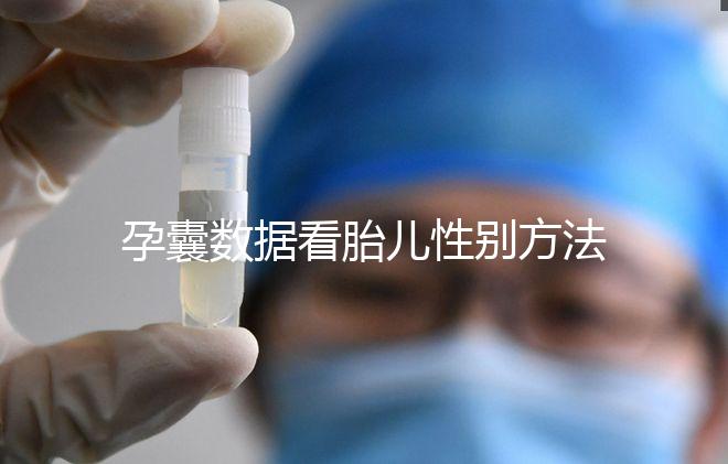 孕囊數據看胎兒性別方法，尺寸兩大一小是男孩瞎扯