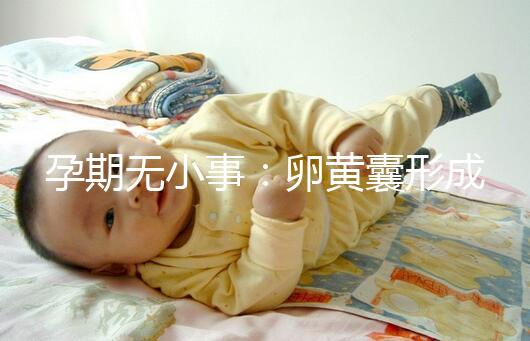 孕期無(wú)小事:卵黃囊形成到胎芽出現(xiàn)時(shí)間早了解早放心