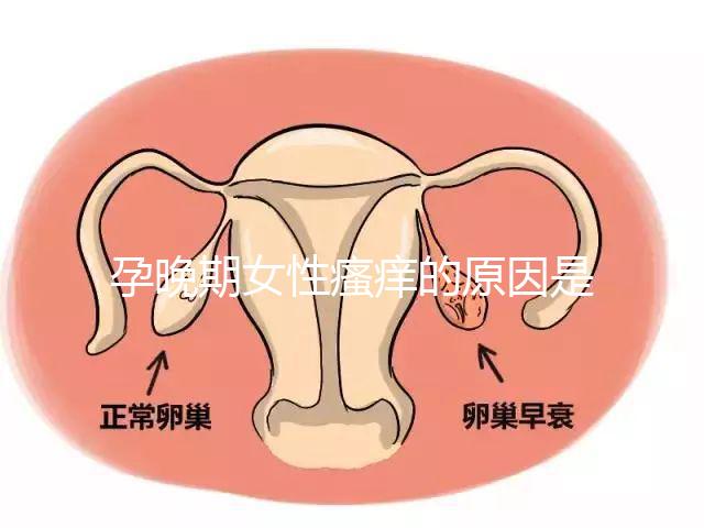 孕晚期女性瘙癢的原因是什么？