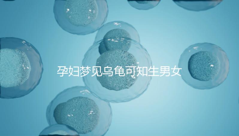 孕婦夢見烏龜可知生男女?解讀相關胎夢具體含義