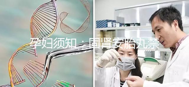 孕婦須知:固腎安胎丸禁忌 這些人不能吃