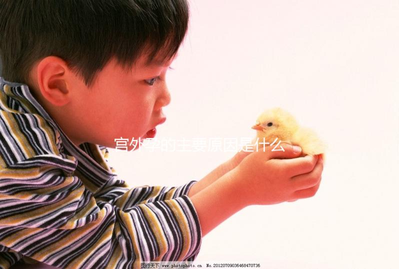 宮外孕的主要原因是什么？