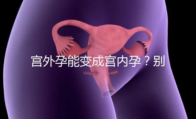 宮外孕能變成宮內孕？別瞎說！會出事兒的！