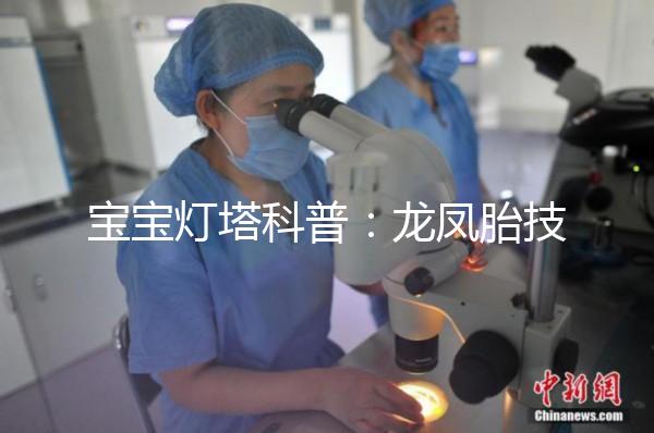 寶寶燈塔科普：龍鳳胎技術的原理和發展！