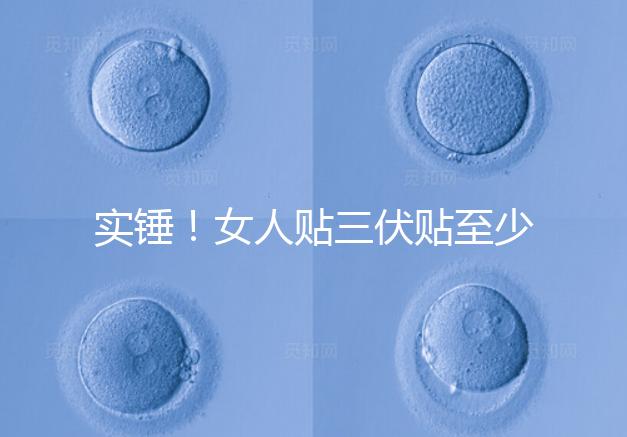 實錘！女人貼三伏貼至少有這6點好處，提高免疫力是其一