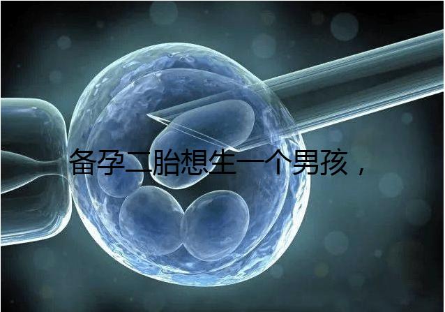 備孕二胎想生一個(gè)男孩，在鞏義市能做試管嬰兒嗎？