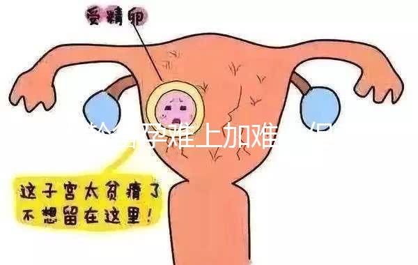 大齡備孕難上加難，但為什么越年輕的女性越容易懷孕？