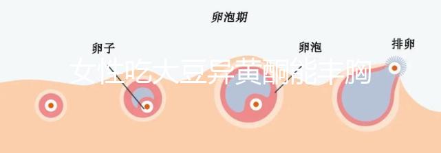 女性吃大豆異黃酮能豐胸？別再被這些虛假?gòu)V告給忽悠了