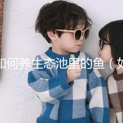 如何養(yǎng)生態(tài)池里的魚(yú)（如何養(yǎng)生態(tài)池里的魚(yú)視頻）