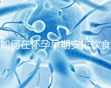如何在懷孕早期安排飲食？