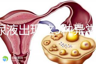 當(dāng)尿液出現(xiàn)這5種異常情況，那么腎功能檢查刻不容緩