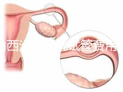 山西汾陽醫(yī)院試管費用清單公布，2024年生殖科助孕成功率公布
