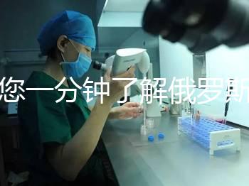 帶您一分鐘了解俄羅斯試管中心的費用明細，快速收集！