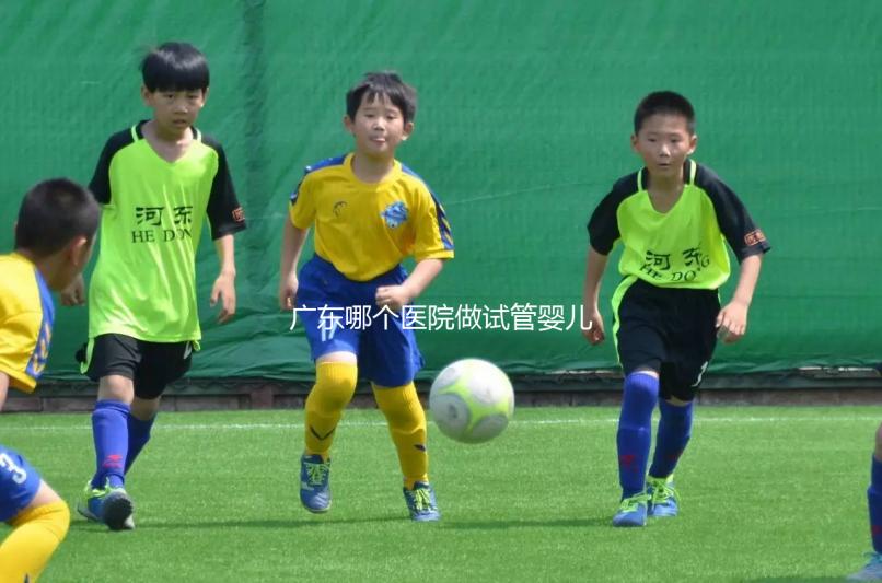 廣東哪個醫院做試管嬰兒技術好，成功率高，我今年45歲，今年在浙江做了兩次都不成功，都是8細胞一級。