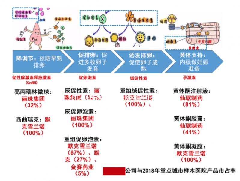 廣州市生殖科醫院排名解析，成功率最高的前三家機構分享