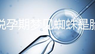 都說孕期夢見蜘蛛是胎夢，咬人、爬身上意思都不同快收藏