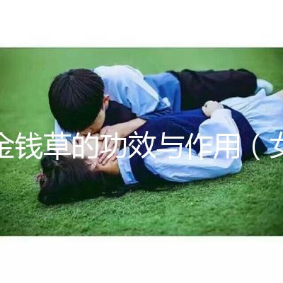 金錢草的功效與作用（女人長期喝金錢草的好處）