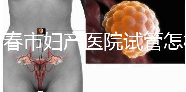 長春市婦產醫院試管怎樣問題解答，助孕成功率、費用可作參考
