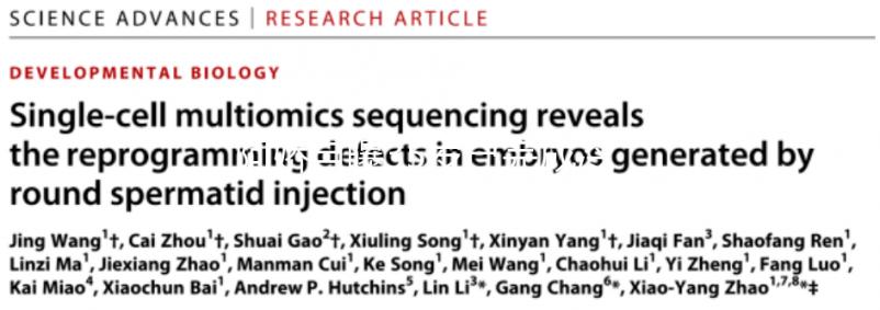 阿嬌自曝35歲已完成冷凍卵子，為何明星都選擇凍卵？