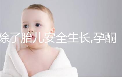 除了胎兒安全生長,孕酮的這4大作用你都了解嗎?