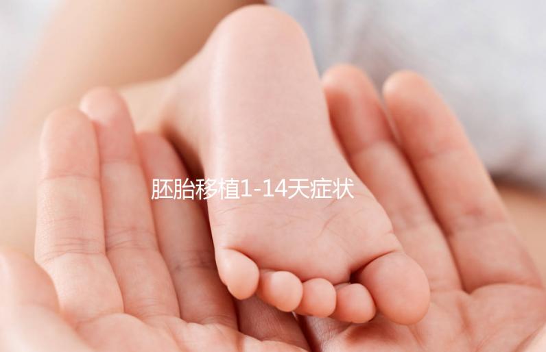 胚胎移植1-14天癥狀變化圖（附各個(gè)階段的身體感覺(jué)）