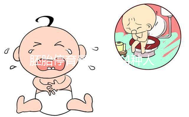 胚胎停育最愛找這4種人的麻煩,學(xué)會預(yù)防降低風(fēng)險