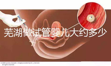 蕪湖做試管嬰兒大約多少錢？一次成功率高嗎？